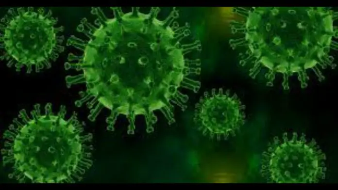 Families with COVID Deaths should Receive all Documents As & When Demanded Families with COVID Deaths should Receive all Documents As & When Demanded