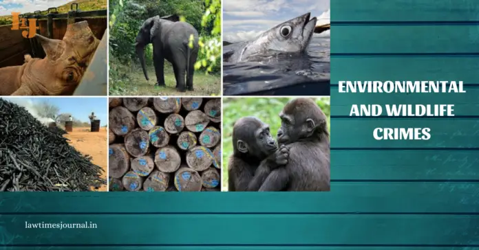 environmental crime environmental crime